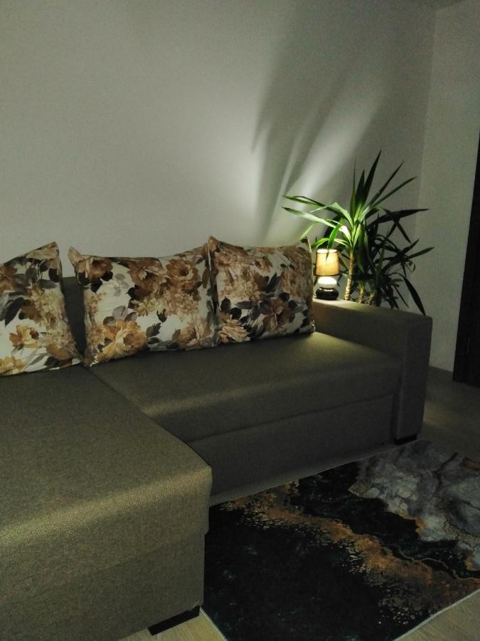 Ferienwohnung Garsoniera Rebecca Tîrgu Ocna Exterior foto